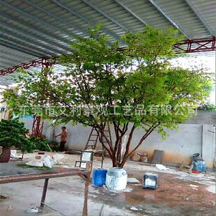 枫树出口阿拉伯大枝叉抗风大型绿植酒店休闲场所装饰摆设