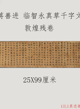 蒋善进临智永真草千字文敦煌残卷