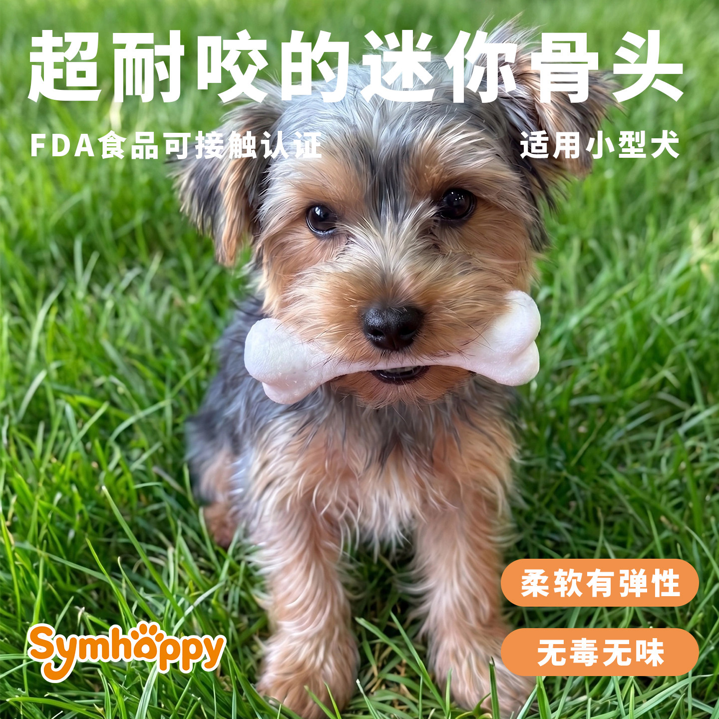 协贝小型犬耐咬磨牙骨头图片
