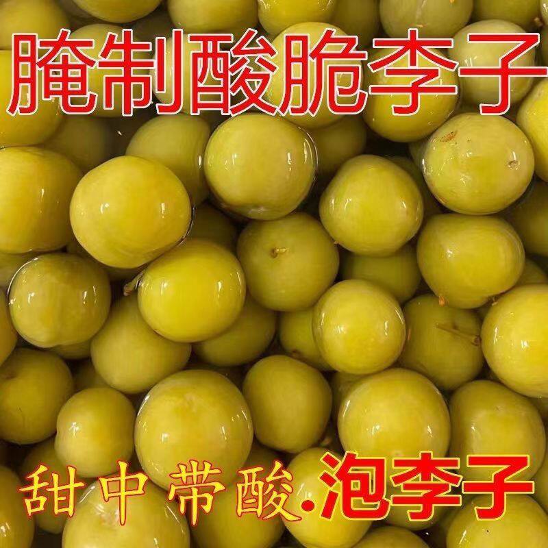 广西腌制李子三月李酸甜脆爽口即食珍珠泡酸野三华李水果农家自制
