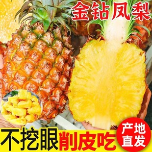 产地直发正宗金钻凤梨新鲜现摘云南应季水果孕妇无眼大个芒果菠萝