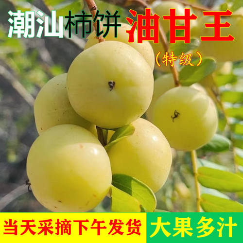 潮汕油甘王果崩坎柿饼油柑余甘果牛油果孕妇水果新鲜丙甜当季尝鲜