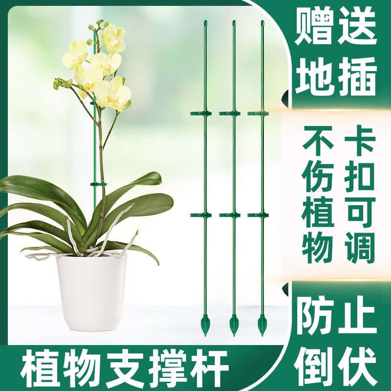 植物支撑杆花架固定器园艺扶持架花卉防倒伏花杆爬藤神器兰花支架