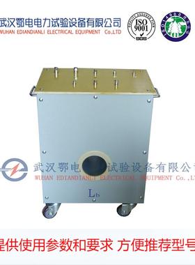 EDSL-7型升流器 升流器厂家 升流器价格