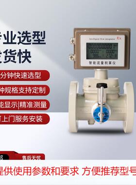 氮气涡轮流量计带油杯 dn50铝合金/温压补偿氮气流量计