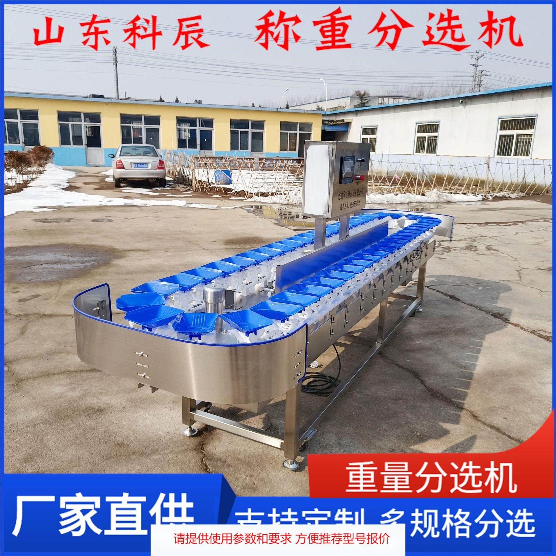 牡蛎输送线输送式重量分选机 海蛎子重量分选机 生蚝称重分选机,清洗/食品/商业设备,其他食品加工设备,淘宝优惠券,粉丝福利购,淘宝优惠卷