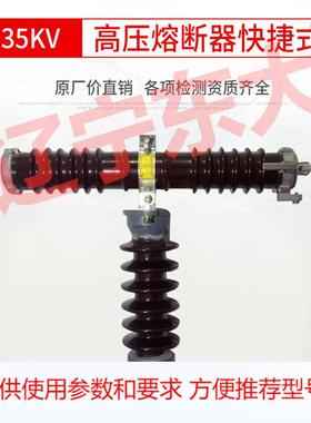 限流熔断器RXWO-35型35KV高压T型熔断器户外快捷式陶瓷绝缘