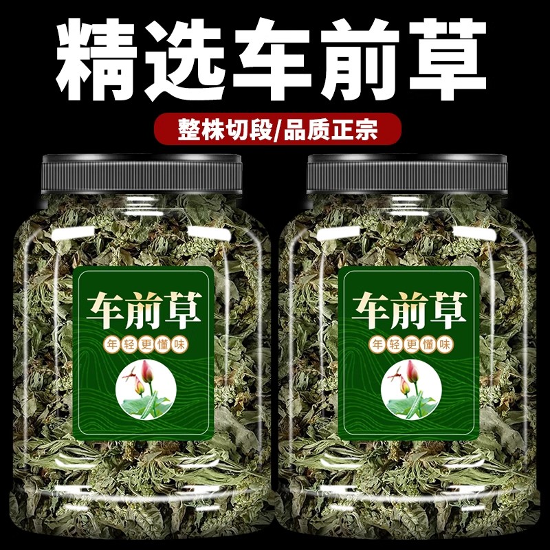 车前草野生泡水喝的功效与作用中药材干货官方旗舰店整株整棵泡茶