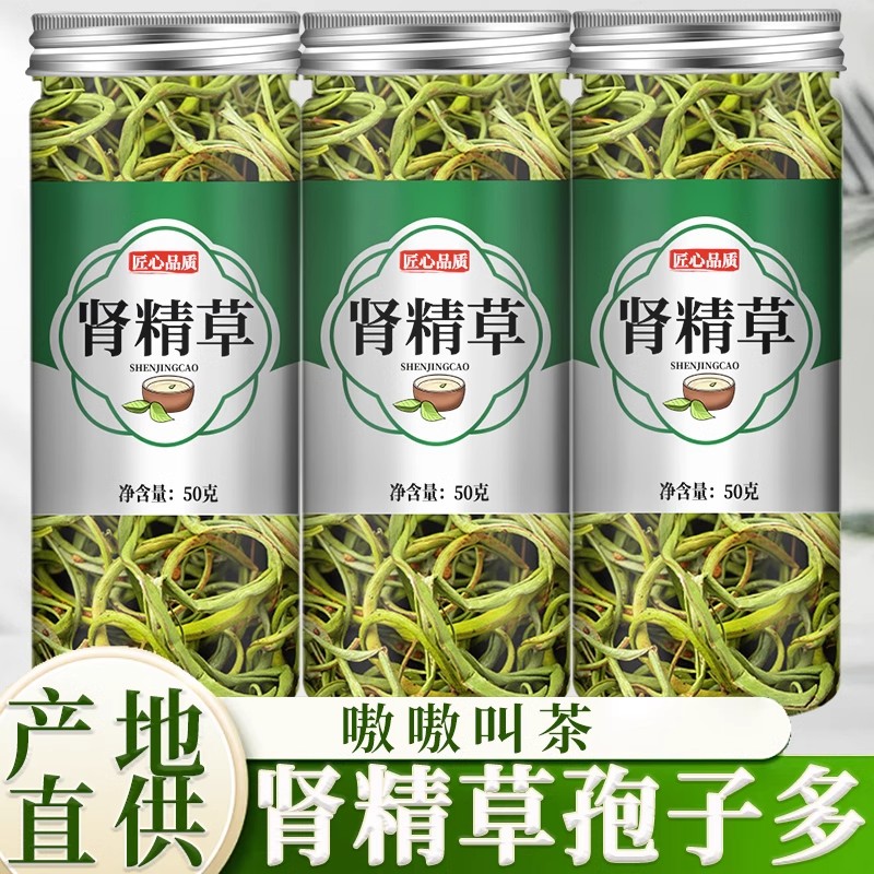 黄金草嗷嗷叫正品官方旗舰店东北长白山肾精草肾精茶化石草肾经草