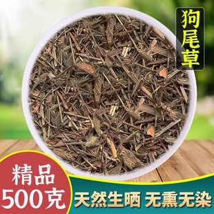 狗尾巴草中药材500g克正品野生新鲜干货光明草毛虫草九尾草中草药