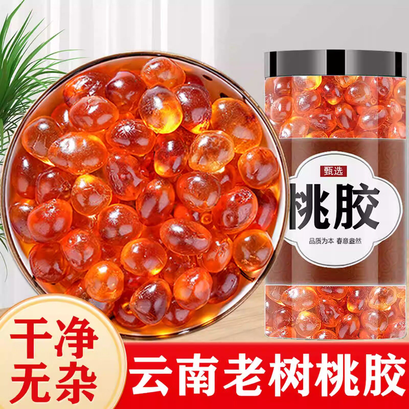 云南大粒桃胶官方旗舰店正品特级雪燕皂角米组搭银合无杂质养颜汤