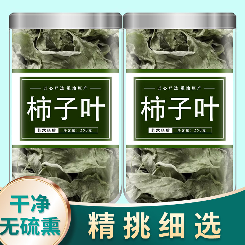 柿子叶茶中药材的功效霜降后霜打干柿子叶河南野生新鲜柿子树叶子