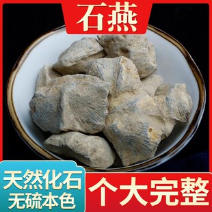 石燕中药材500g克中草药石燕子燕子石水飞石大石燕草药正品