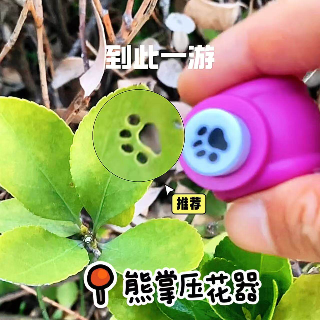 熊掌压花器可爱印花机小号打孔器压图器创意学生儿童手工diy工具