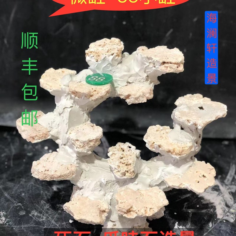 小海缸死石造景爪哇石干岩石免爆藻快速开缸O淡海水珊瑚缸造景定