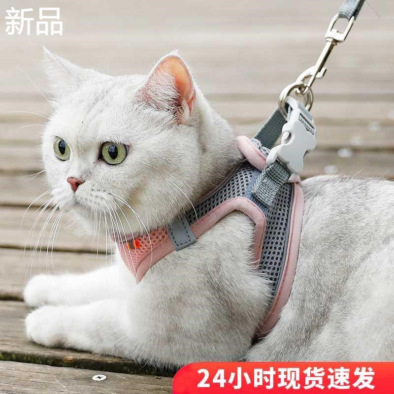 猫咪牵引绳防挣脱溜猫绳春夏外出专式G背心用胸背带狗狗小型犬新