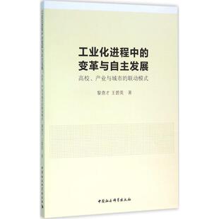 正版工业化进程中的变革与自主发展高校产业与城市的联动模式王碧英黎贵才著