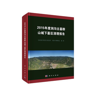 正版2015年度洞沟古墓群山城下墓区清理报告吉林省文物考古研究所集安市博物馆