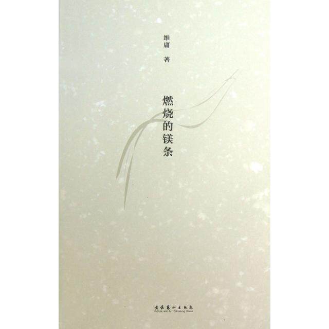 正版燃烧的镁条维庸著