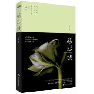 正版 慈悲城丁墨著