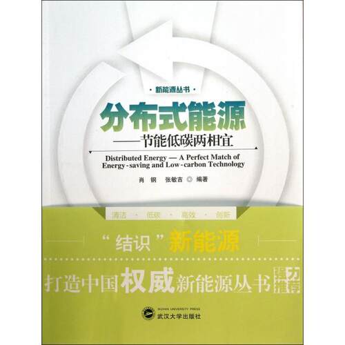 正版分布式能源节能低碳两相宜肖钢  张敏吉 编著
