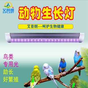 艾普朗牌全光谱动物生长灯宠物鸡鸟鹦鹉鸽子繁殖龟昆虫养殖补光灯