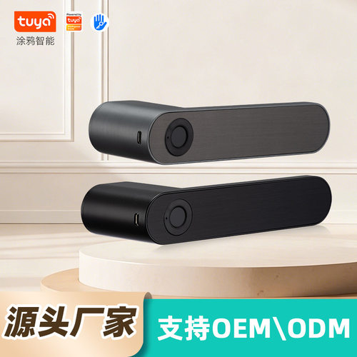 生态门涂鸦APP指纹智能锁