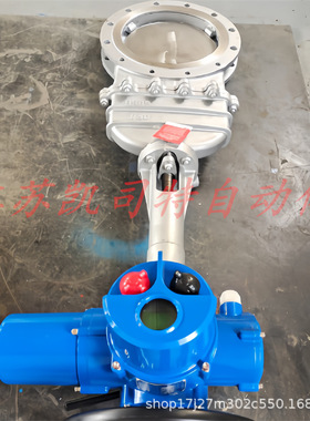 PZ973H-10C-DN300铸钢电动明杆刀闸阀 智能 一体式 AC380V 4-20Ma