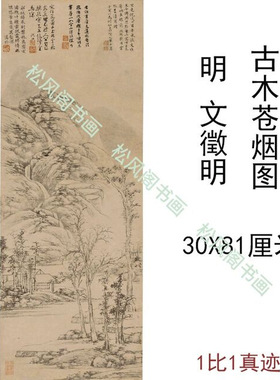 文徵明古木苍烟图复古山水风景字