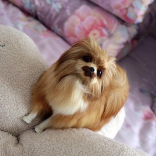 饰犬博美模型动物工艺儿童家居桌面玩具皮 现货摆件狗品装