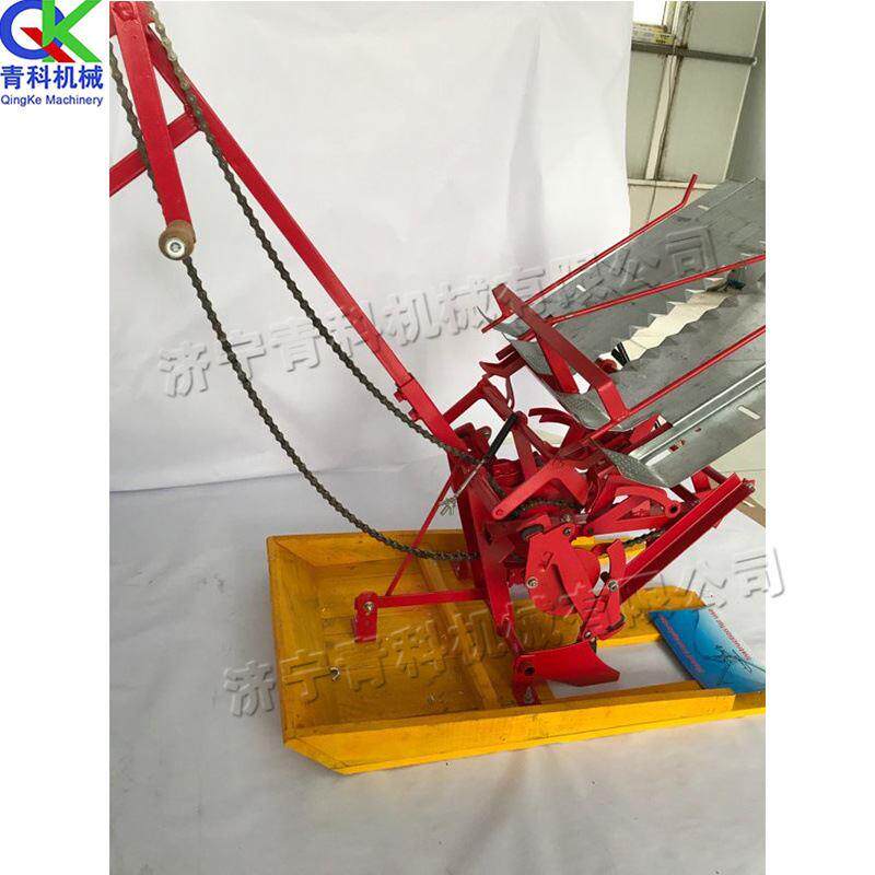 手动式小型家用水稻插秧机 双行水田秧苗裸苗点播机 稻田栽苗机