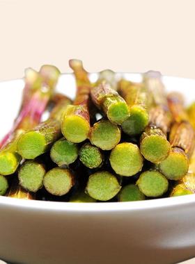 盛和新鲜铁皮石斛官方正品安养霍徽山枫YQB斗条鲜5年品生石斛鲜条