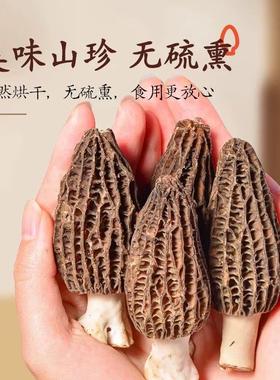 头茬肚新货货干干 干货羊肚菌特级羊AFT菌新鲜菌菇干 非野生菌菇