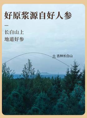 丽蜂堂鲜人参口服原液浆新参液泡水XJB的饮品滋补品鲜喝送礼长辈