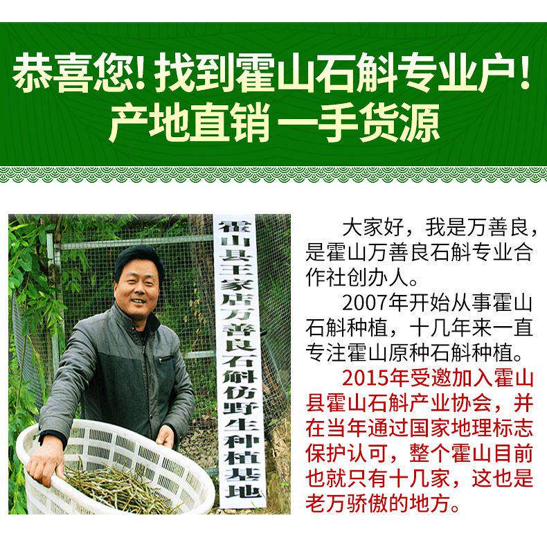 万善良霍徽五年彷野米斛枫斗石ZOL龙头凤尾草安特产非铁皮斛鲜山