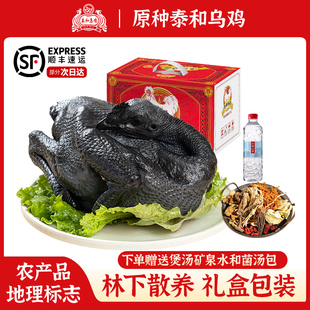 泰和原种乌鸡整只新鲜现杀散养丝羽乌骨鸡白公鸡活鸡煲汤滋补乌鸡