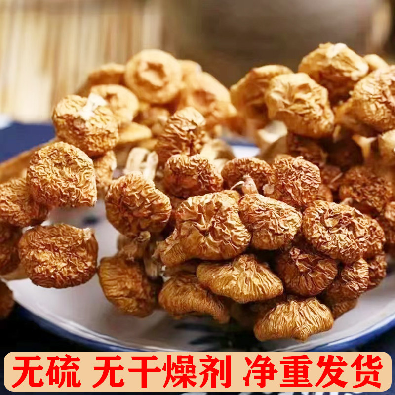 无干燥剂滑子蘑农家滑菇净重发货