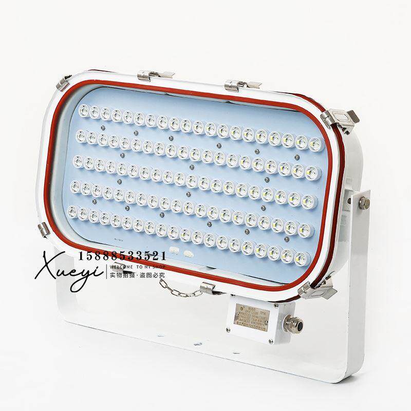 船用矿用不锈钢LED投光灯TG20-L强光大功率防水探照灯30W50W100W