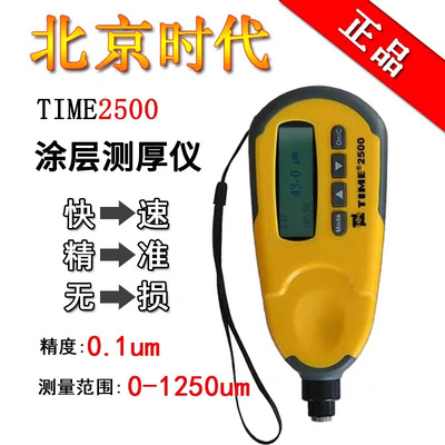 。时代涂层测厚仪TIME2500/2510/TT220磁性涡流铁铝双用漆膜测厚