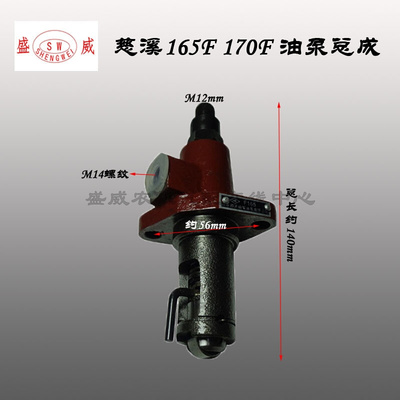 。单缸风冷柴油机 小型发动机 三环165F170F喷油泵油泵油嘴总成配