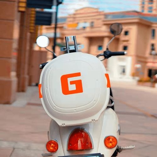 国标电动车尾箱小龟王后备箱自行车工具箱储物箱电动车飞碟后背