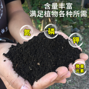 腐叶土50斤腐熟泥炭土养花种菜通用型营养土疏松透气有机腐殖土壤