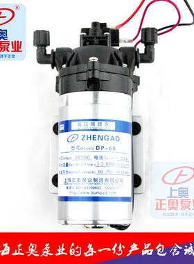 DP-100（A）微型24V工程塑料耐腐蚀电动泵