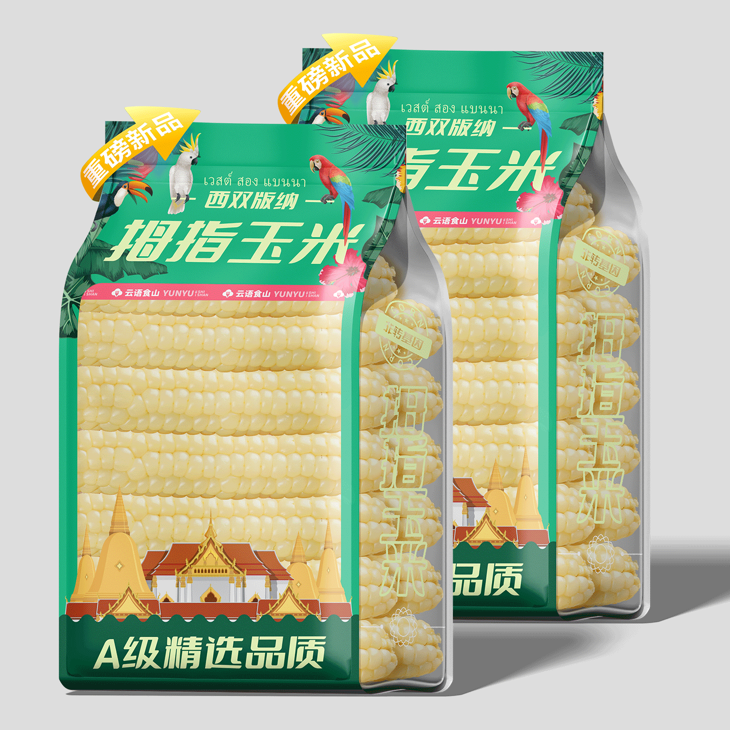 拇指小玉米云南西双版纳真空装