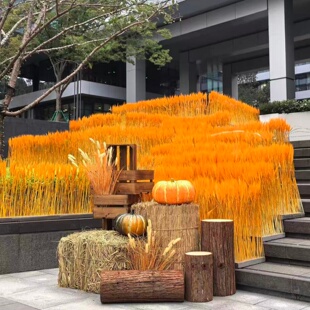 金色麦田造景田园景观装饰干麦穗布置干花秋季氛围感环创道具摆件
