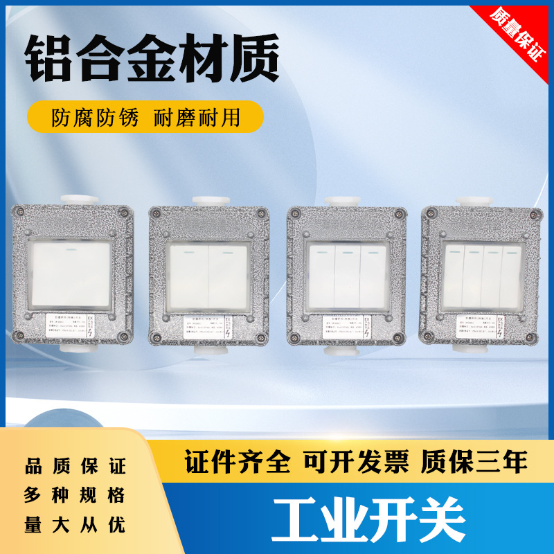 防爆墙壁开关BQK-1K2K3K4K照明