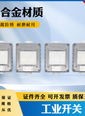 防爆墙壁开关BQK-1K 2K3K4K防爆照明开关SW-10单开双开单双联开关