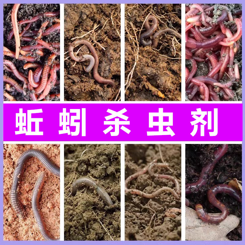 杀蚯蚓药养花盆菜园地下害虫可用药杀蚂蚁鼠妇蛴螬土壤杀虫剂