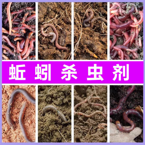 杀蚯蚓药养花盆菜园地下害虫可用药杀蚂蚁鼠妇蛴螬土壤杀虫剂