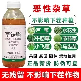 草胺磷除草烂根剂草铵膦正品草铵磷高浓度水花生牛筋草正品除草剂